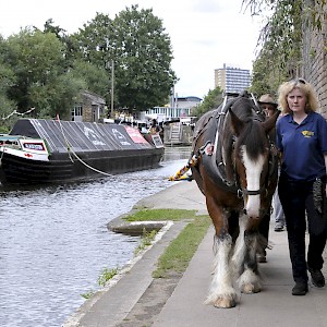 Horse Drawn Narrow Boat